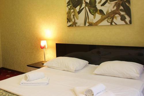 Hotel Alians