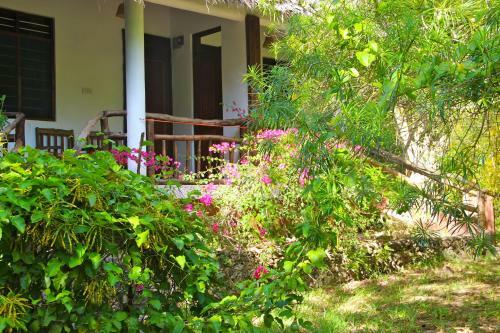 Hotel Mangrove Lodge