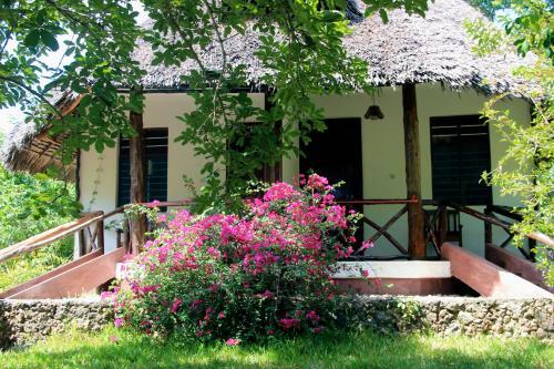 Hotel Mangrove Lodge