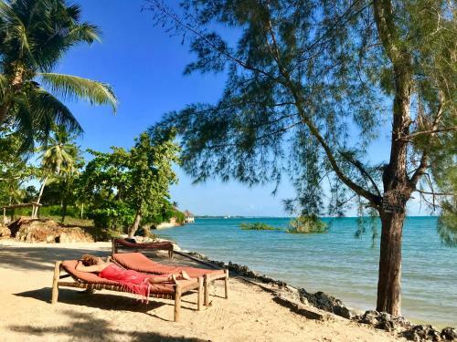 Hotel Mangrove Lodge