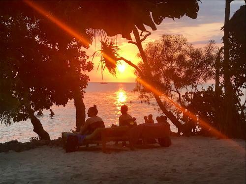 Hotel Mangrove Lodge