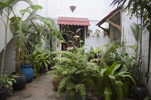 Hostal Malindi Guest House