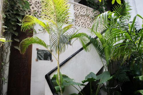 Hostal Malindi Guest House