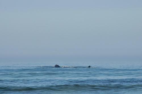Lodge Casas Oceanicas