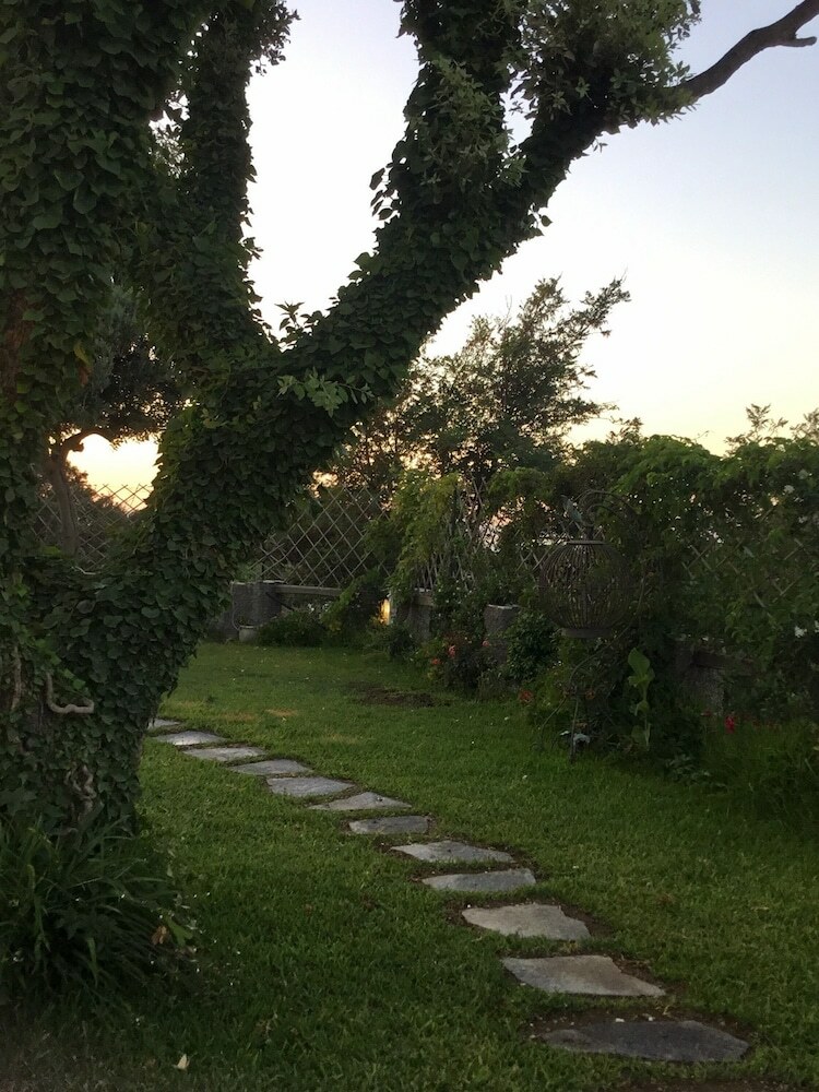 Bed & Breakfast Villa Neptunus