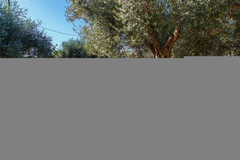 Filoxenia Apartments & Studios