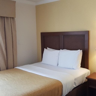 Hotel Coconut Cove Suites
