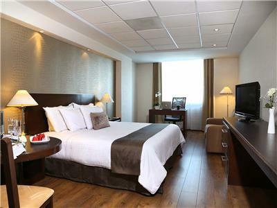 Hotel Meson Ejecutivo