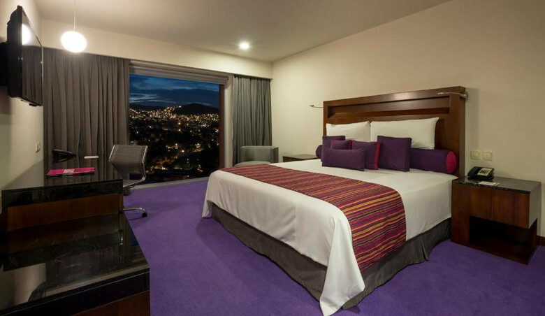 Hotel Camino Real Pedregal
