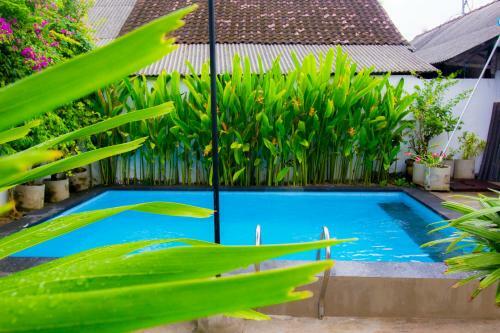 Hostal Pantai Bungalow Lembongan Island