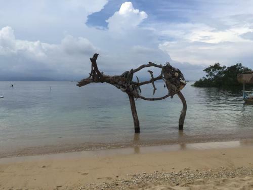 Tropica Tranquility Villa