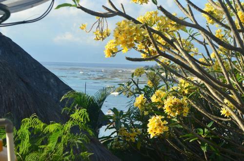 Lembongan Aqua Villas