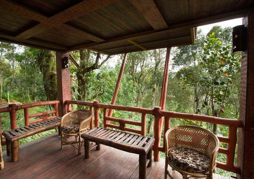 Hotel Bamboo Dale
