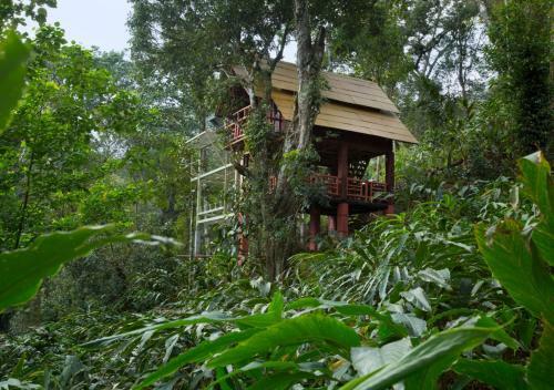 Hotel Bamboo Dale