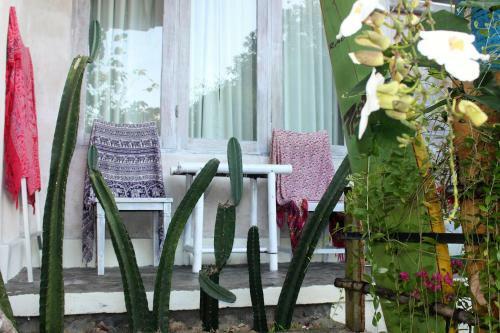 Hostal Bingin Inn