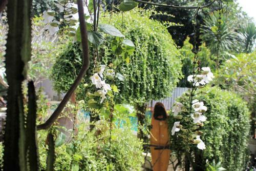 Hostal Bingin Inn