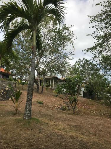 Hostal 3d Homestay