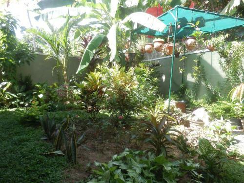 Waja Bed & Breakfast