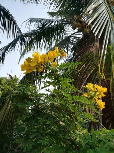 Grand Traverse Homestay