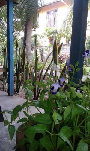 Grand Traverse Homestay