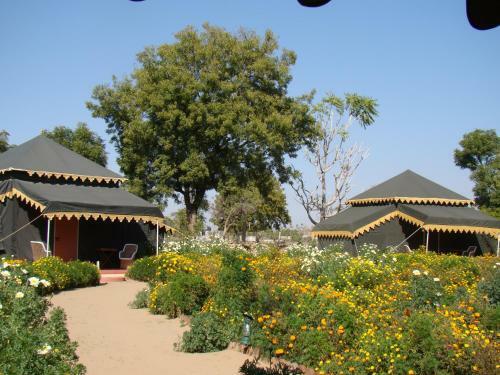 Hotel Orchard Pushkar