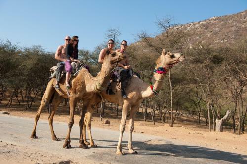 Hotel Aaram Baagh, Pushkar
