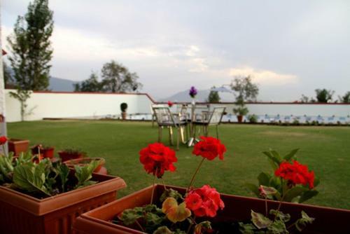 Hotel Impex Hill Resorts