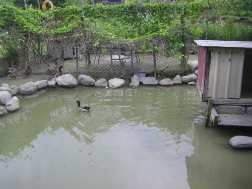 Meihua Lake Leisure Farm