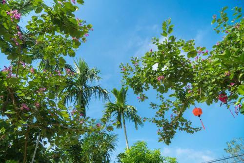 Hoi An Luna Villa Homestay