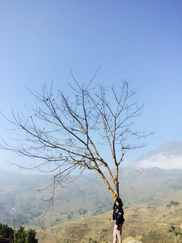 Anh Duc Homestay