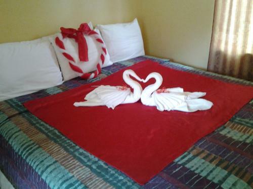 Hostal Aupic Paradise