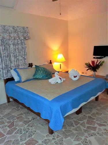 Hostal Paradise Inn