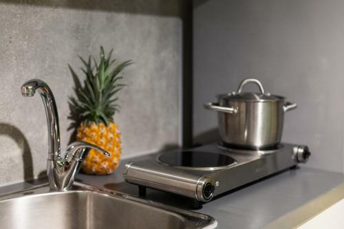 Apartamento Inner City Mini Penthouse
