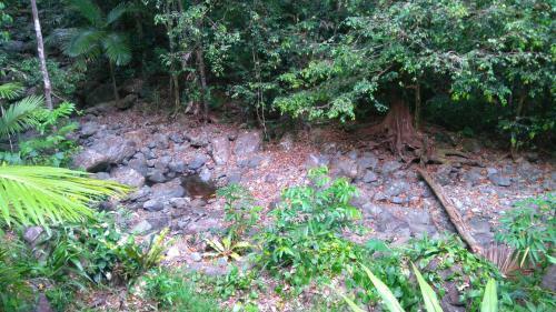 Villa Black Palm Cape Tribulation
