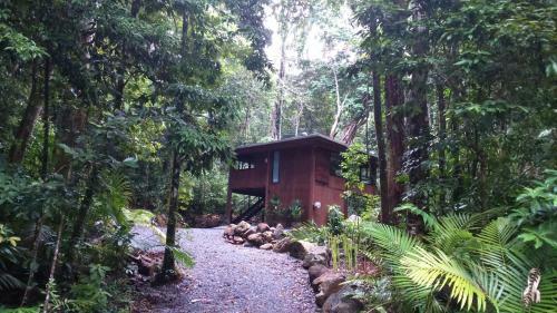 Villa Black Palm Cape Tribulation
