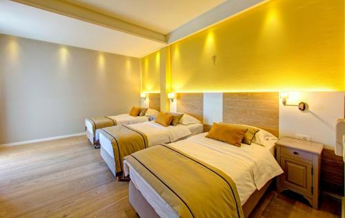 Hotel Villa Regina