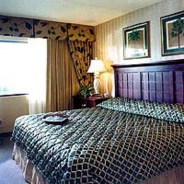 Hotel Sheraton Suites Orlando Airport
