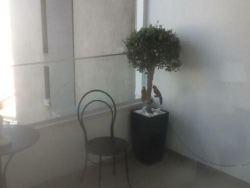 Apartamento The Central Suite