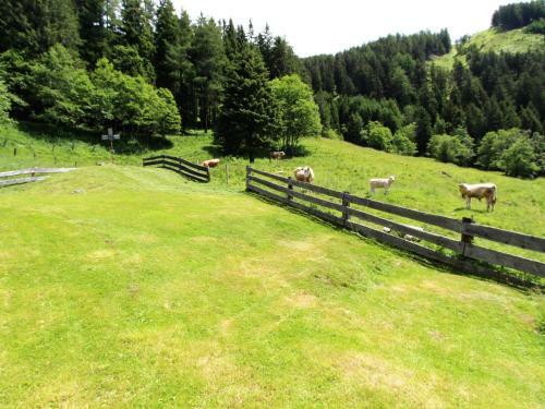 Unterhofer Alm