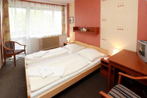 Hotel Zimn� Stadion N�chod
