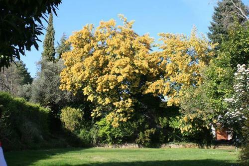 Rancho La Herradura
