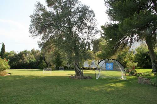Villa Rotonda Sundays