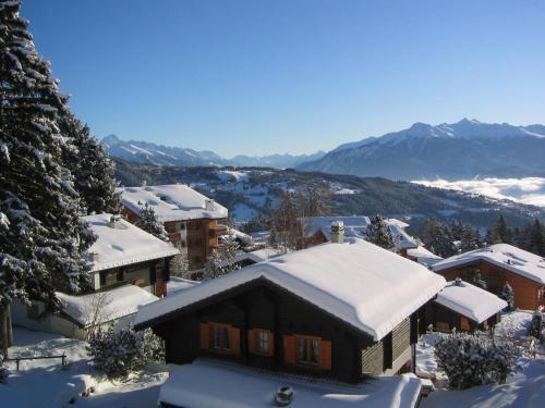 Apartment Loup-blanc