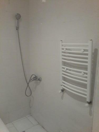 Lemon Hostel