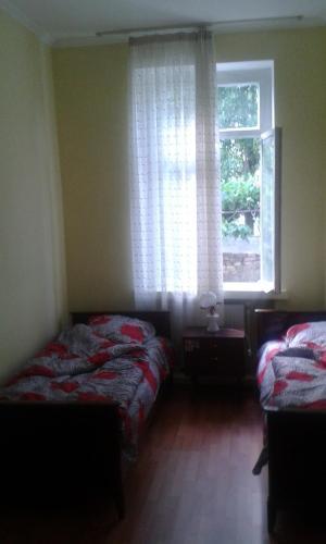 Lemon Hostel