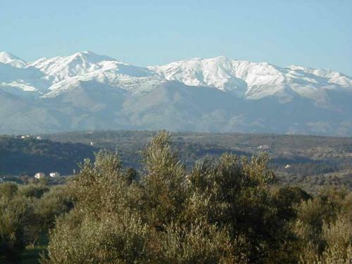 Villa Saint Basil Olive Grove