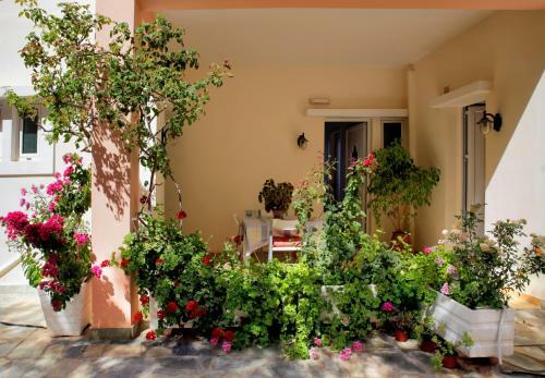 Apartamento Isadora