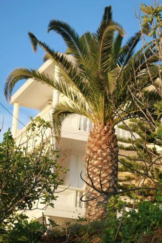 Apartamento Irene's House