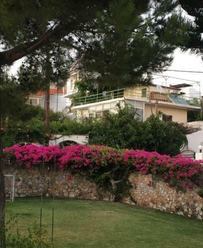 Apartamento Costmari