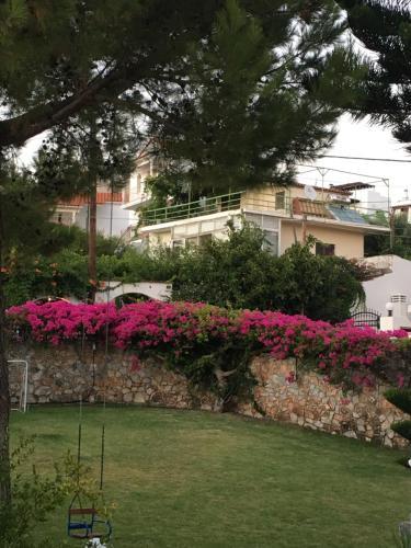 Apartamento Costmari